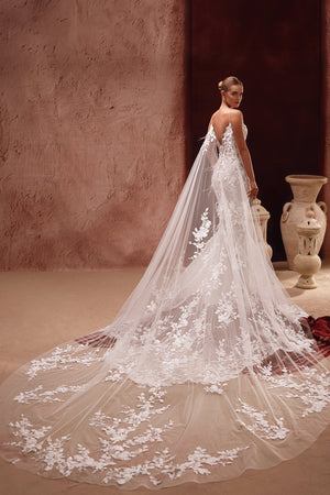 Lace-cape Aspasia