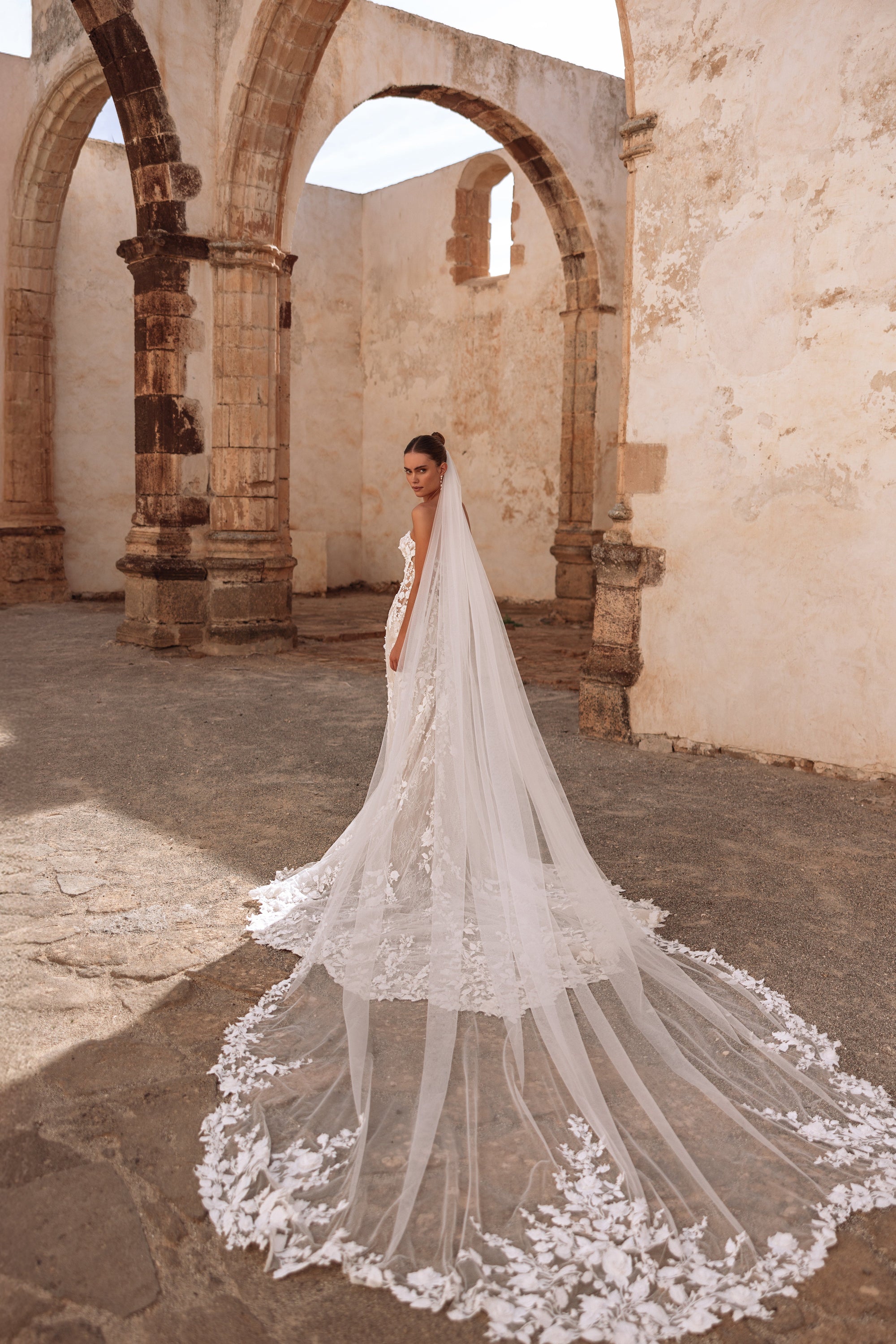 Lace wedding dress with a cathedral-length veil and floral appliqué train, perfect for a timeless bridal look.